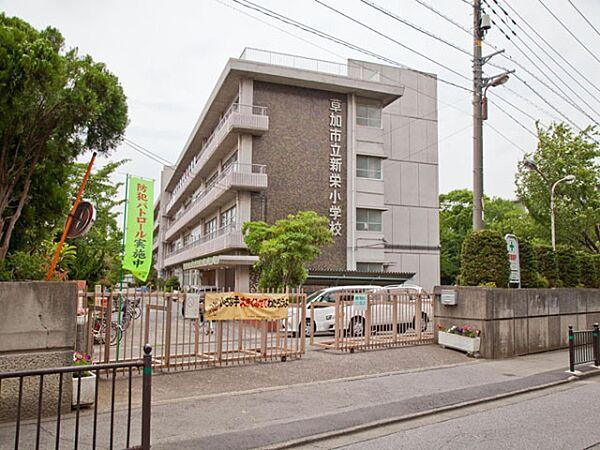 【周辺】新栄小学校まで230m、新栄小学校230ｍ（徒歩3分）