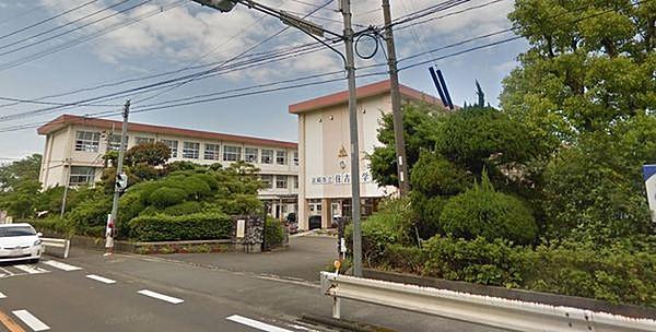 【周辺】宮崎市立　住吉小学校まで2078m