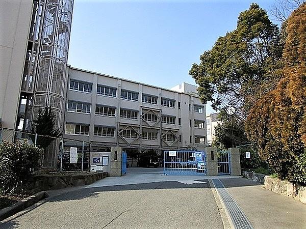 【周辺】神戸市立千代が丘小学校まで570m