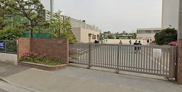【周辺】足立区立中川小学校まで542m