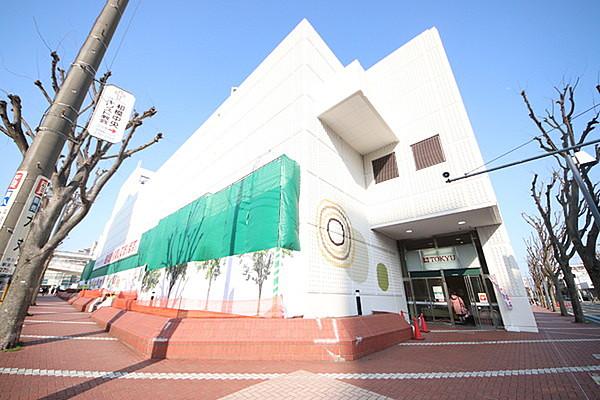 【周辺】東急ストア中央林間店まで987m