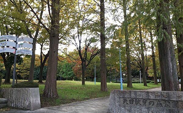 【周辺】矢田教育の森公園まで1164m