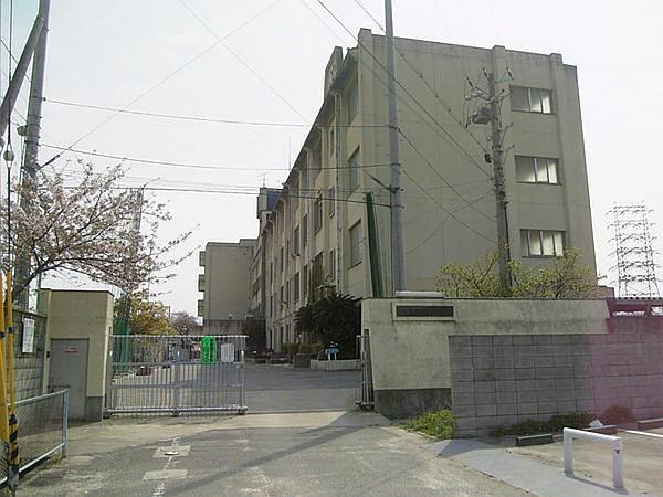 【周辺】八尾市立亀井中学校まで1479m