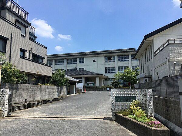 【周辺】桜井市立大三輪中学校まで528m