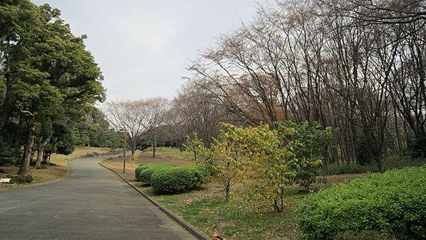【周辺】東京都立代々木公園まで655m