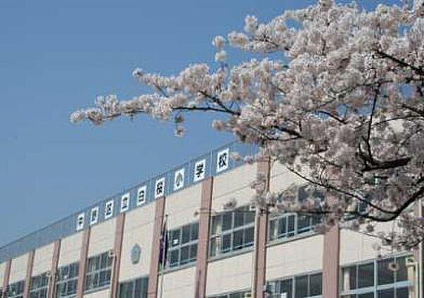 【周辺】中野区立白桜小学校まで385m