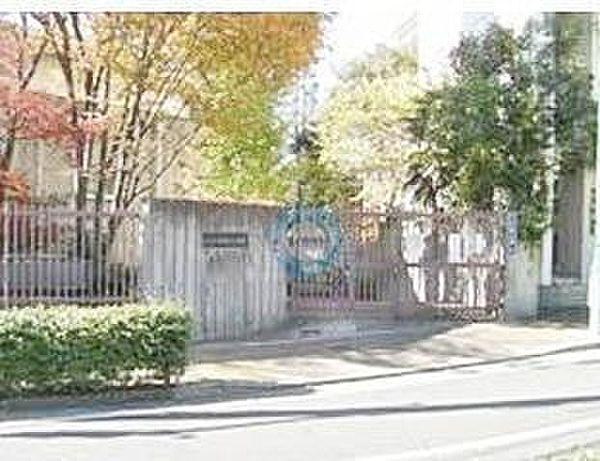 【周辺】渋谷区立常磐松小学校まで594m