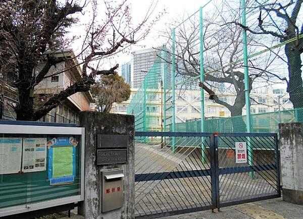 【周辺】渋谷区立鉢山中学校まで814m