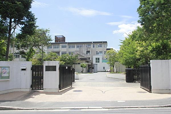 【周辺】京都市立境谷小学校まで550m