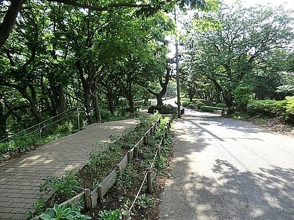 【周辺】神之木公園まで678m、徒歩約8分です。町の高台にあり、みなとみらいの建物も見えます。眺めの良い自然あふれる公園です。