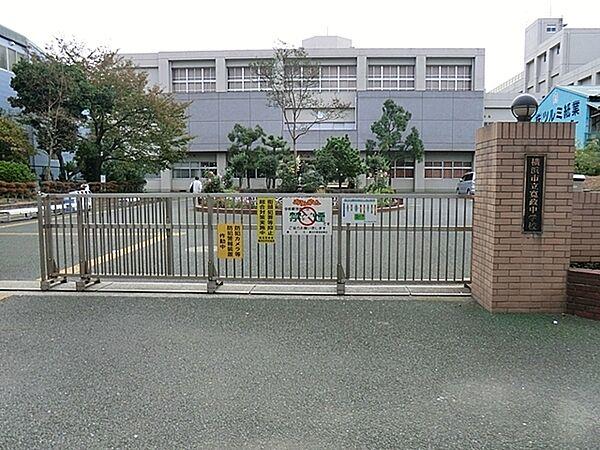 【周辺】横浜市立寛政中学校まで567m、徒歩約7分です