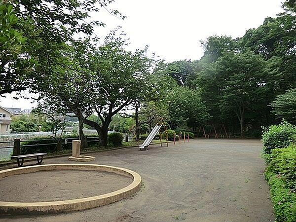 【周辺】長津田第三公園まで1328m、徒歩約16分です。自然豊かな公園です。卒業、入学のシーズンには桜を背景に写真を撮っている家族が多くみられます。