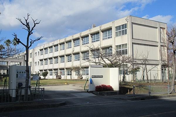 【周辺】堺市立美木多中学校まで1203m