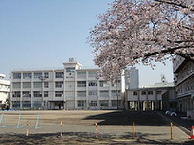 【周辺】静岡市立新通小学校まで600m