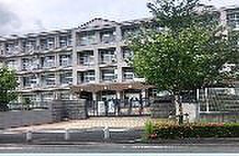 【周辺】富士市立富士中学校まで1312m