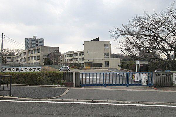 【周辺】堺市立原山ひかり小学校まで607m、徒歩約6分で低学年さんも安心です♪