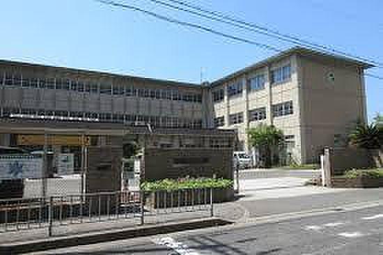 【周辺】岸和田市立野村中学校まで891m、徒歩約10分♪