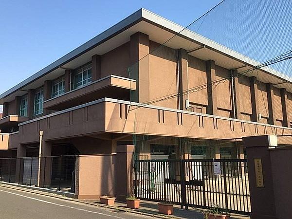 【周辺】京都市立西ノ京中学校まで510m