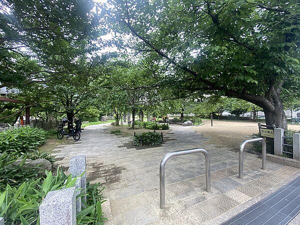 【周辺】桜井公園まで591m