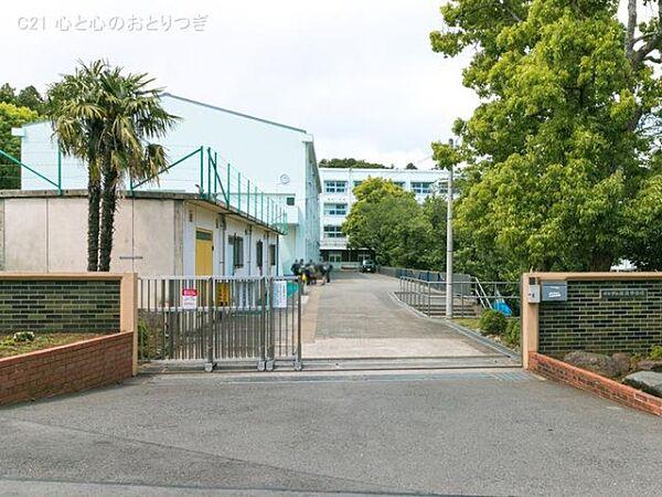【周辺】横浜市立都岡中学校まで905m
