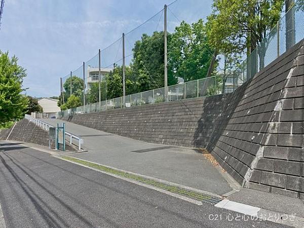 【周辺】横浜市立奈良中学校まで736m