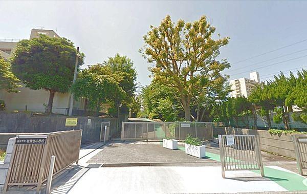 【周辺】横浜市立若葉台小学校まで826m