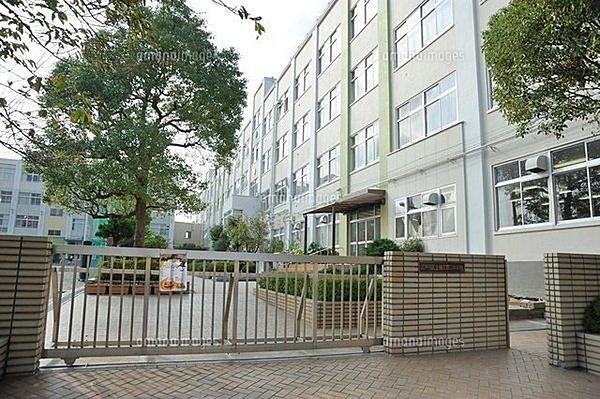 【周辺】江戸川区立瑞江第二中学校まで602m