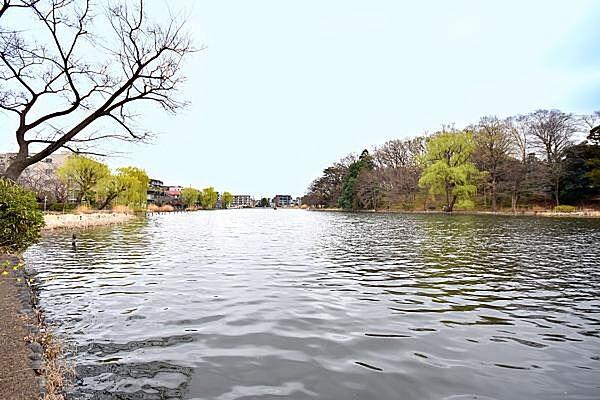 【周辺】石神井公園まで1992m、三宝寺池、石神井池の二つの池を中心とした公園。園内は起伏に富み、武蔵野の自然がよく残されています。