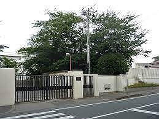【周辺】松戸市立第一中学校まで1408m