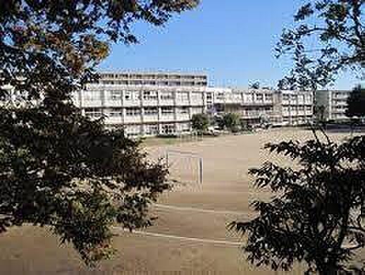 【周辺】松戸市立常盤平第二小学校まで170m