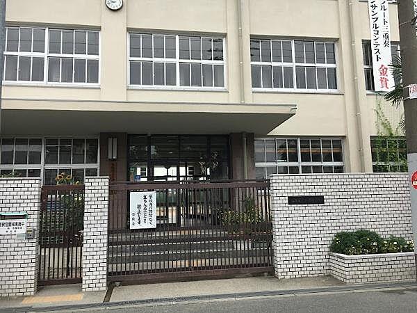 【周辺】大阪市立今津中学校まで623m