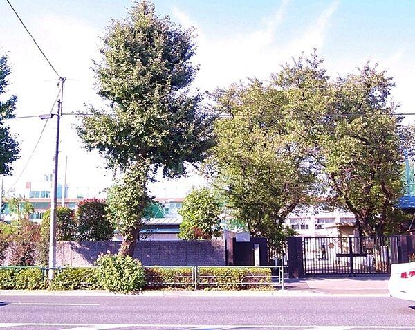 【周辺】練馬区立石神井西小学校まで521m