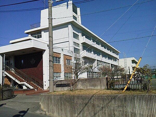 【周辺】鎌倉市立腰越中学校まで2055m