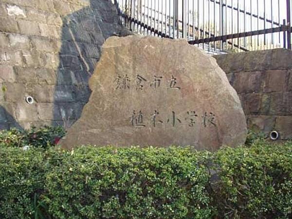 【周辺】鎌倉市立植木小学校まで257m