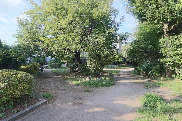 【周辺】野川緑地公園まで868m、狛江市を流れる「旧野川」沿いに整備されている全長2.2kmの緑道公園。春には桜が美しいスポットでもあります