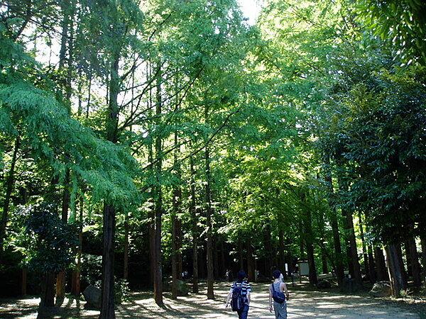 【周辺】生田緑地まで400m、芝生広場の他「日本民家園」や「岡本太郎美術館」、プラネタリウムを持つ「かわさき宙（そら）と緑の科学館」などがあります