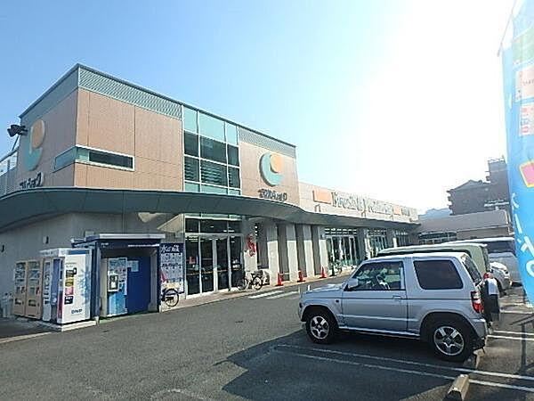 【周辺】マルショク那珂川店まで515m