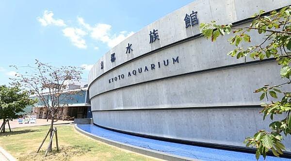 【周辺】京都水族館まで850m、徒歩12分