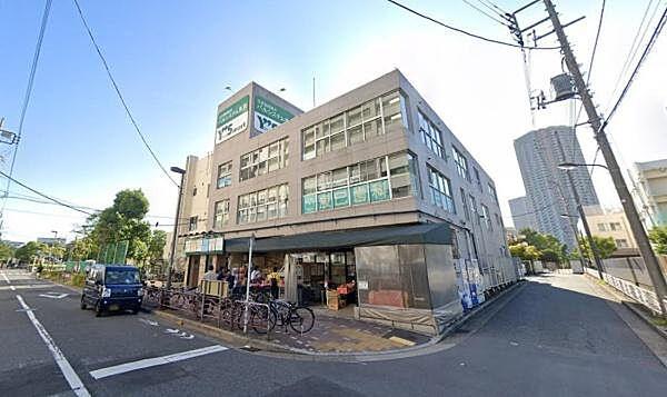 【周辺】ワイズマート辰巳店まで732m
