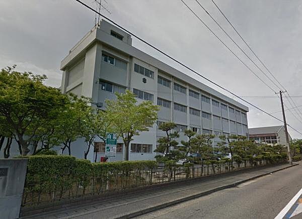 【周辺】新潟市立小針小学校まで731m