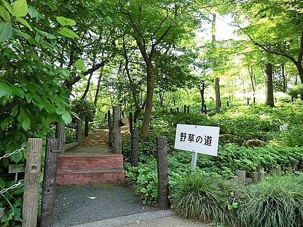 【周辺】赤塚植物園まで3203m