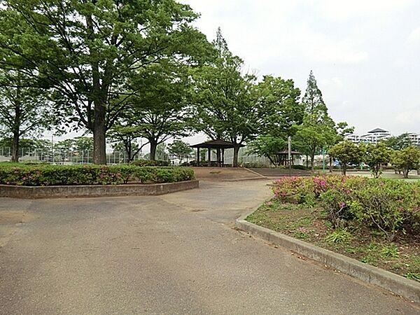 【周辺】観音寺下公園まで2005m