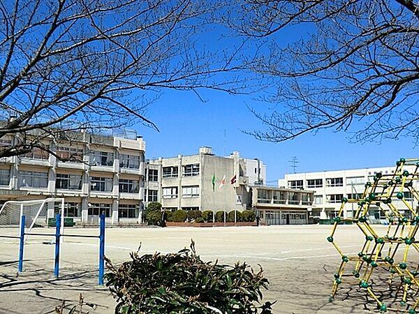 【周辺】松戸市立北部小学校まで529m
