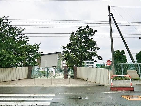 【周辺】戸田市立新曽中学校まで733m