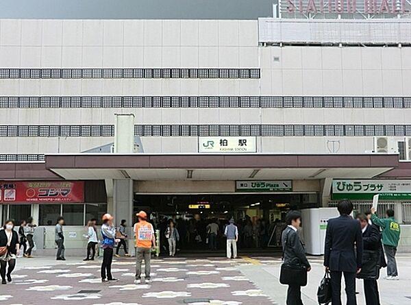 【周辺】柏駅(JR 常磐線)まで1010m