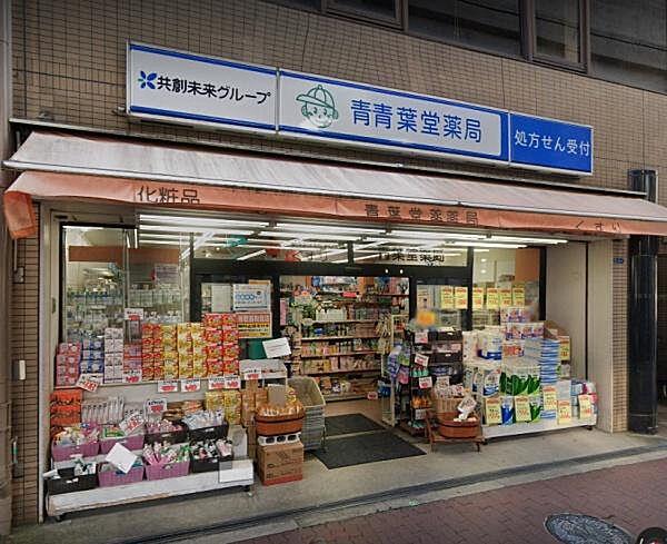 【周辺】青葉堂薬局北田辺店まで228m