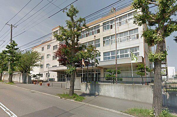 【周辺】札幌市立南白石小学校まで301m
