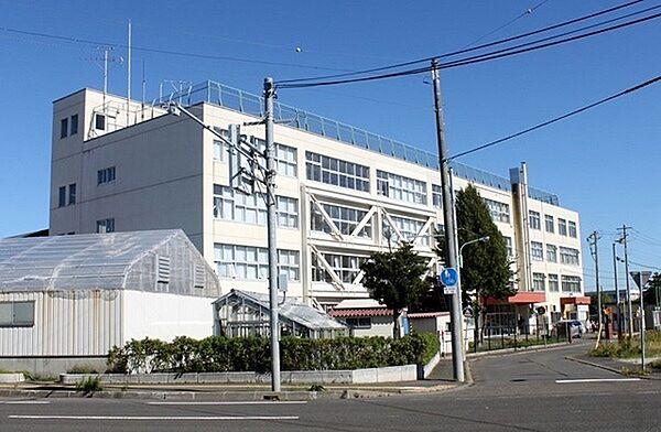 【周辺】札幌市立上白石小学校まで541m